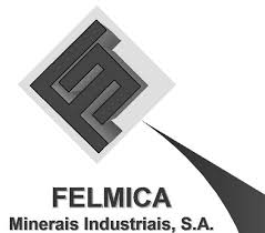 felmica Logo